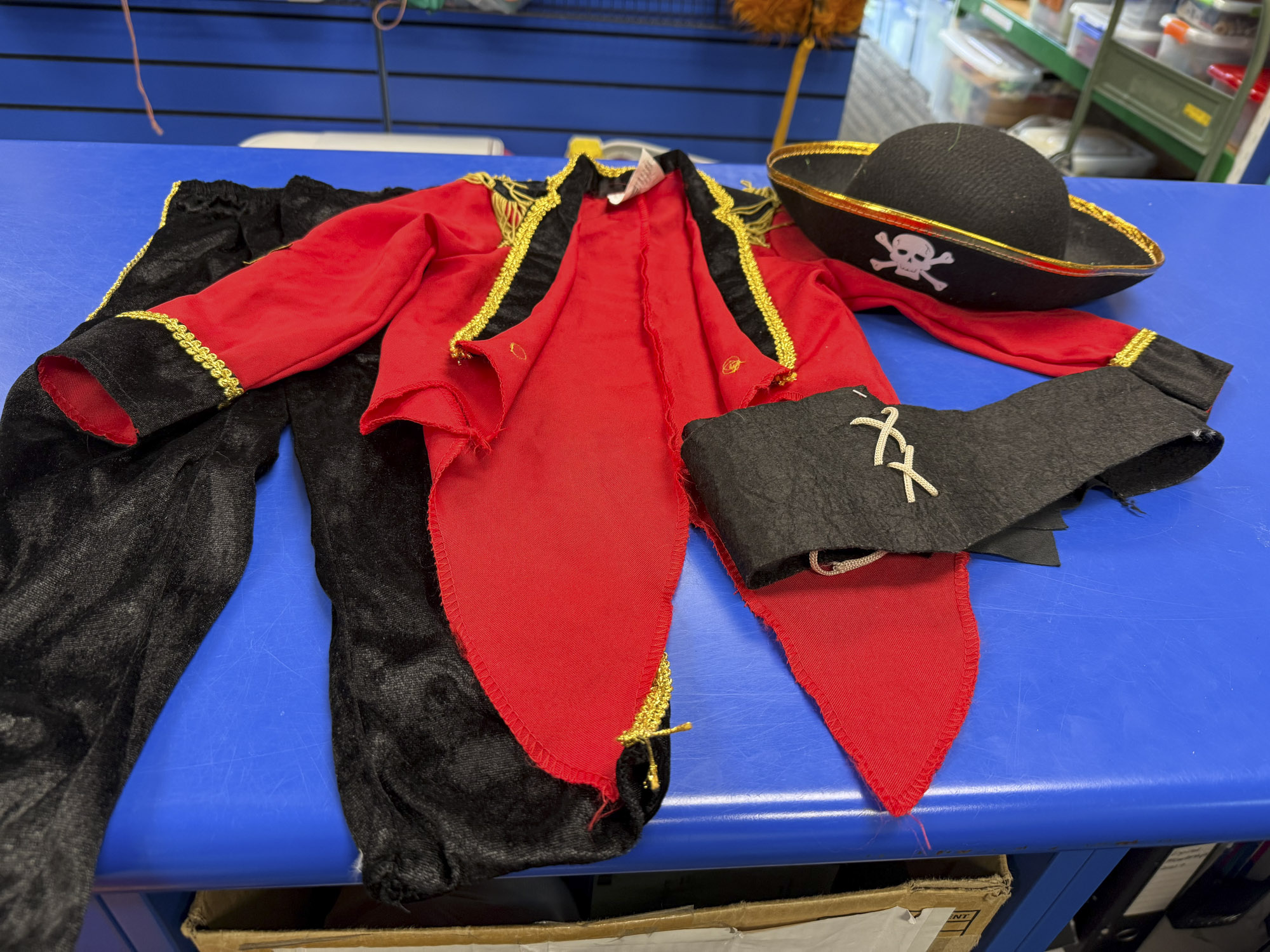 Pirate Costume